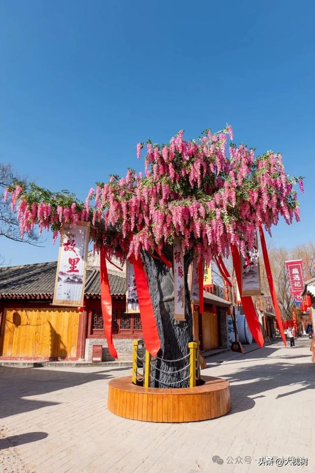 春节打卡洪洞大槐树景区 一站式拍照畅玩解锁新年好运