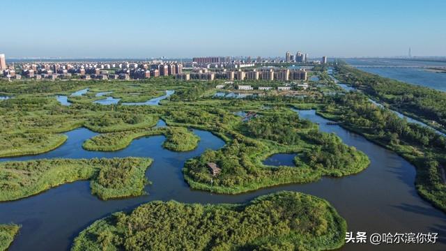 黑龙江宜居城市新观察：伊春如何成为东北康养新地标？