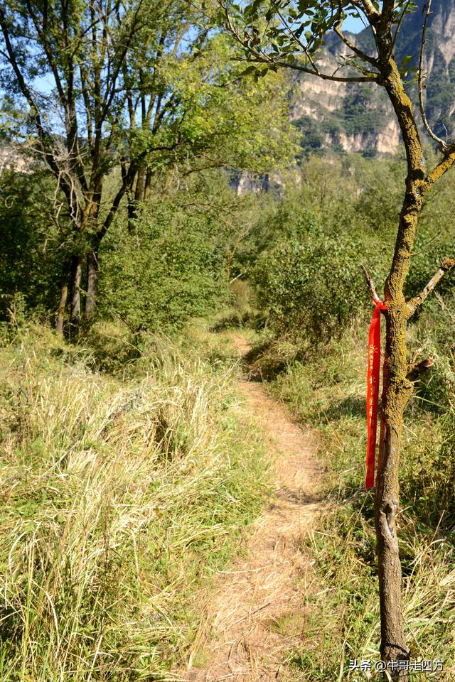 延庆应梦寺（五）：山巅极目收千嶂，林海听风涤尘心