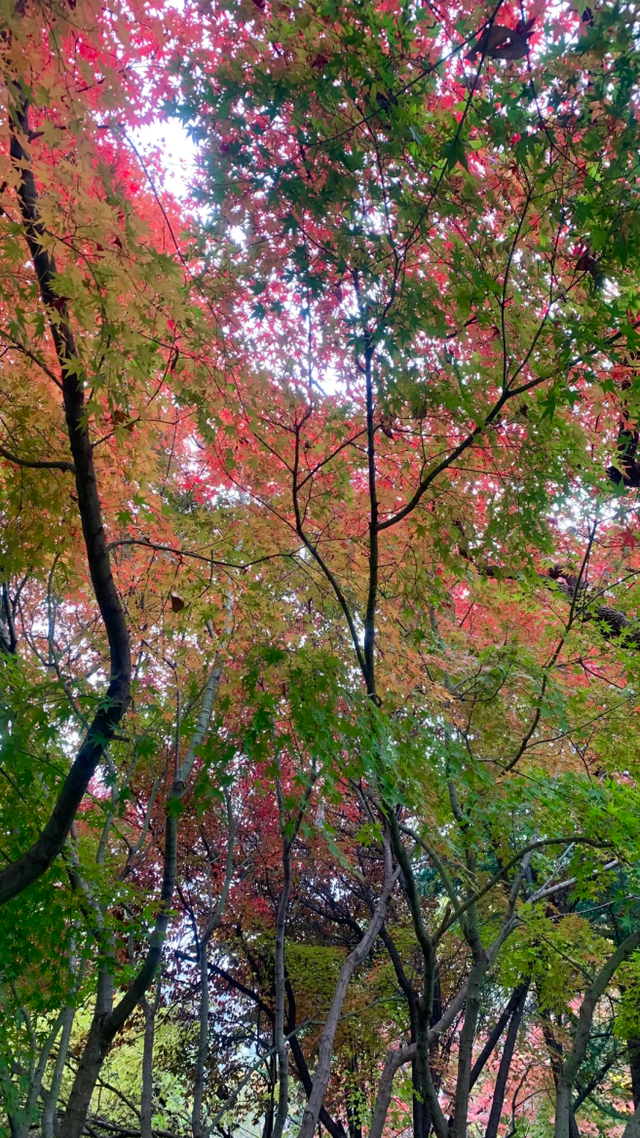 此刻的临沂，把清欢藏进风景里