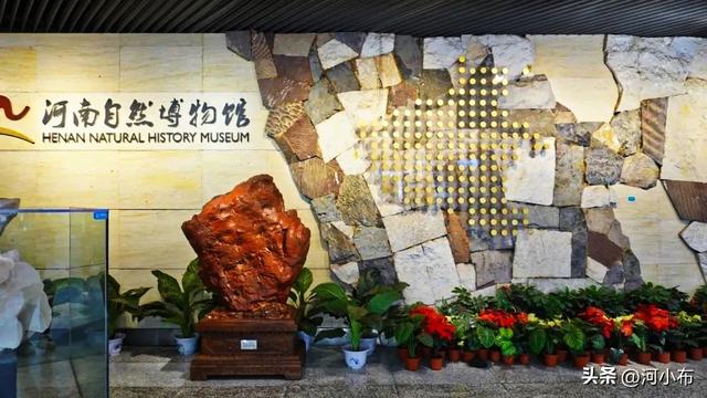 郑州室内遛娃好去处！藏在郑州的"魔法屋"！解锁亿万年的奇妙旅程