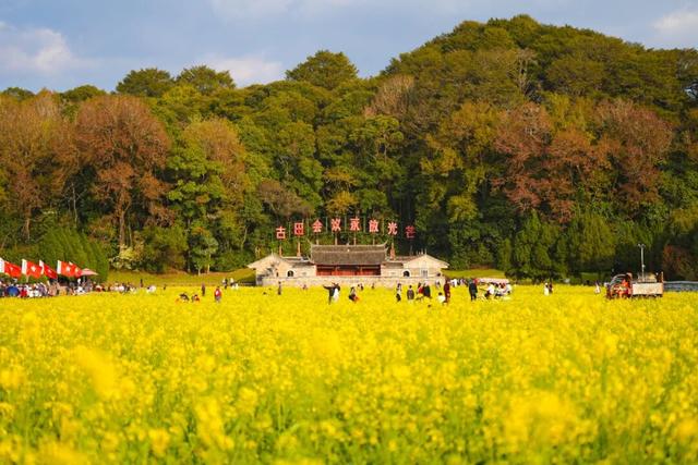 震撼！720°云端漫游龙岩世界地质公园