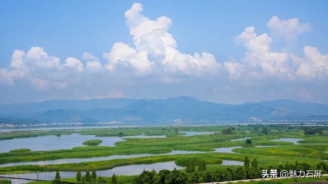 夏日里的异龙湖，邂逅石屏最美倒影🪞