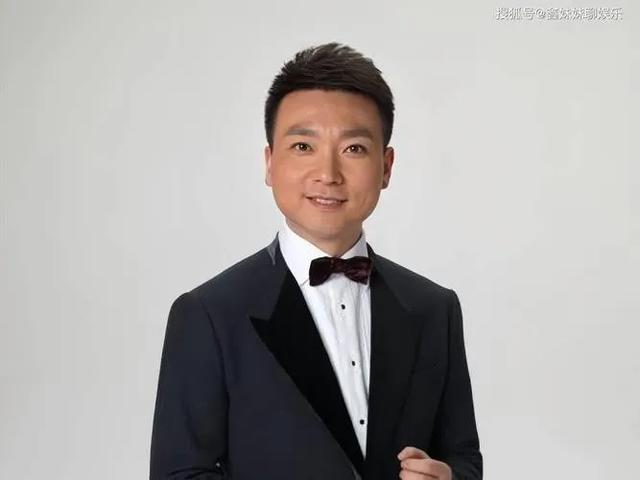 央视最具实力的十大主持人，你最喜欢谁？