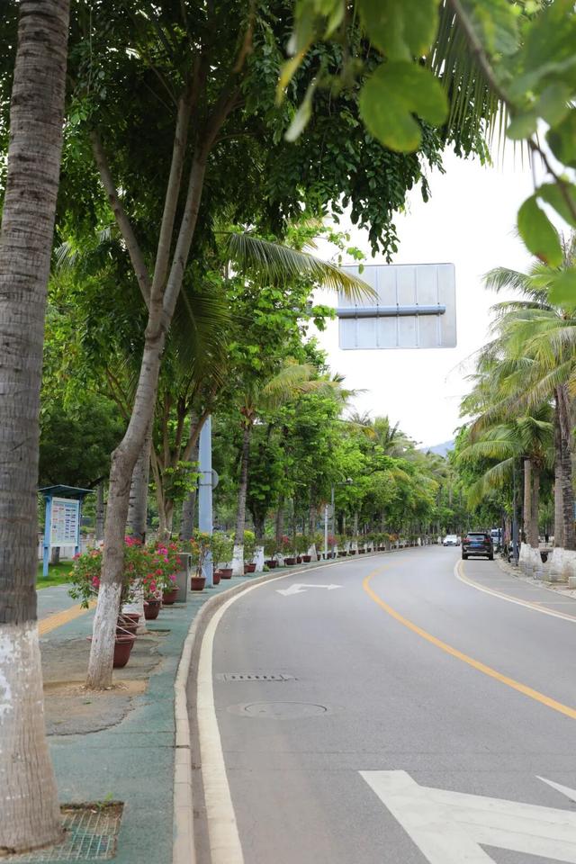 20℃+！出发，去元阳过冬🤩