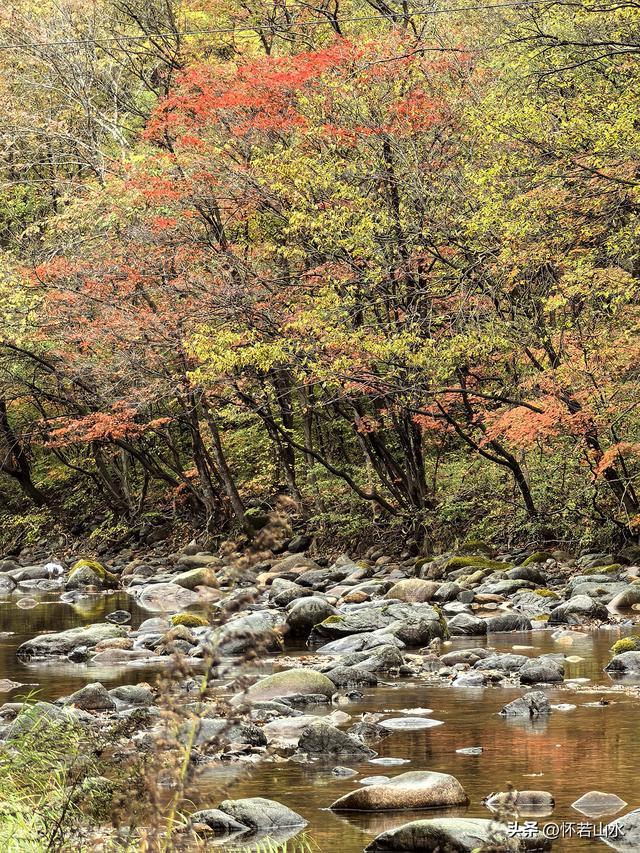 2025辽宁赏秋之旅日记(2)——游览丹东蒲石河森林公园