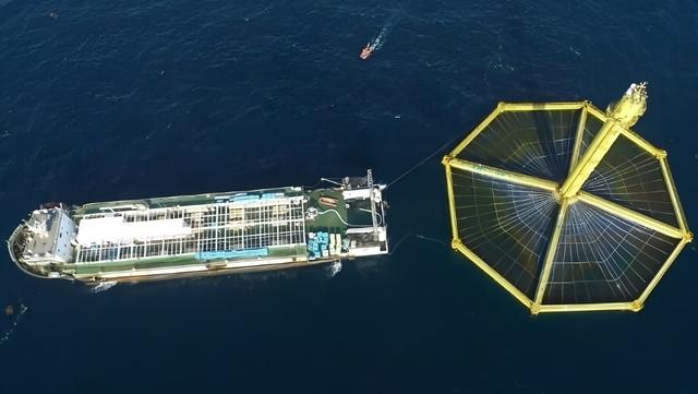 高市早苗高兴坏了！李在明下总统令，对中国船实施直接抓捕