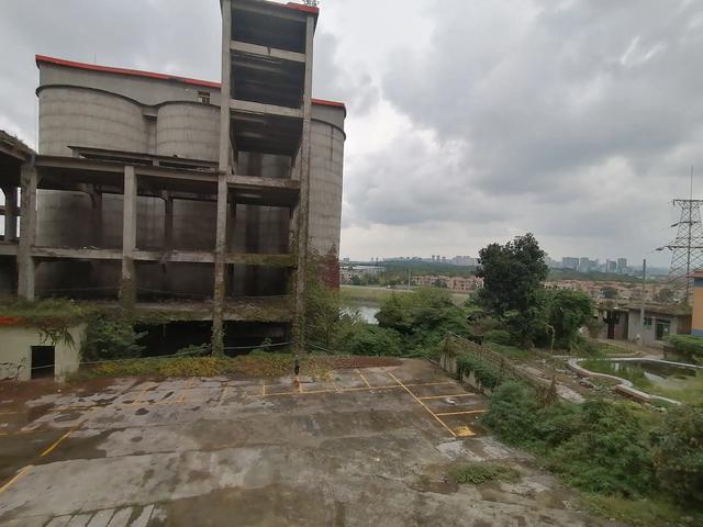 双流／华阳／仁寿苏码头历史资料