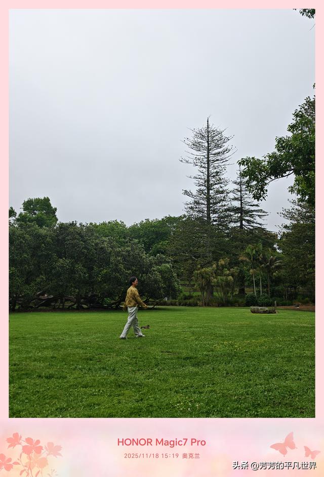 奥克兰中心花园的浪漫