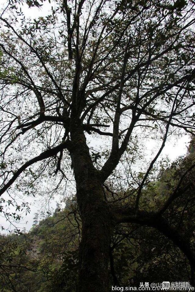 水口景区小记（江西之旅第八十八篇）
