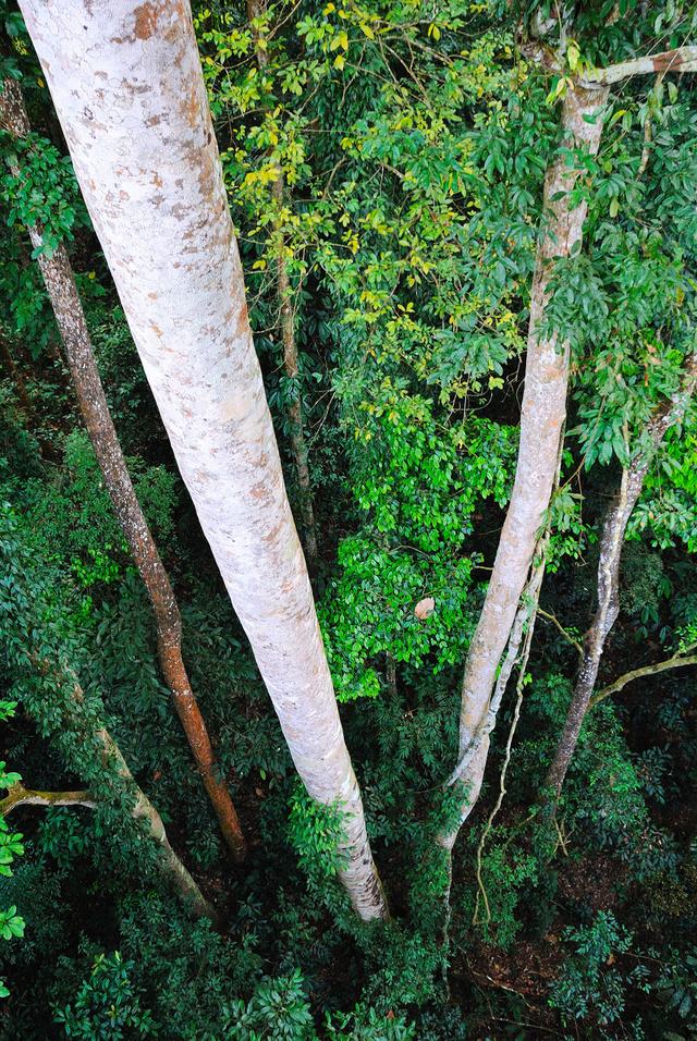 适合春节出发的6条避寒路线，不赶路、不打卡，一家人过个松弛年