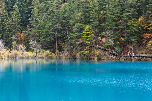 光影札记 | 秋染九寨：一半湖水蓝，一半山林红