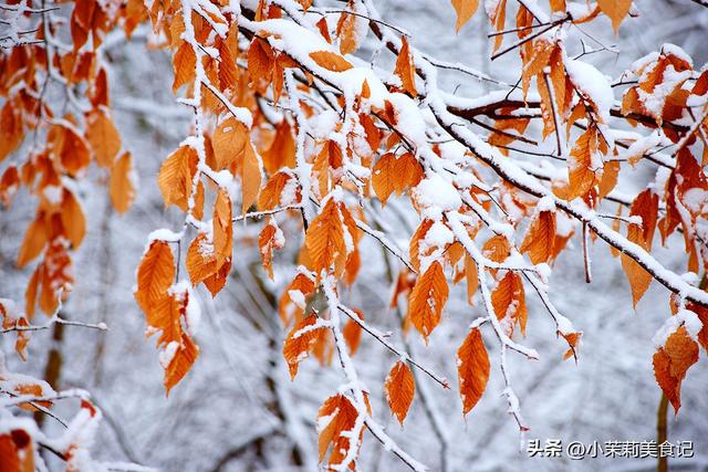 “上午立冬，风雪狂；下午立冬，冬不寒”，今年立冬在哪？早了解