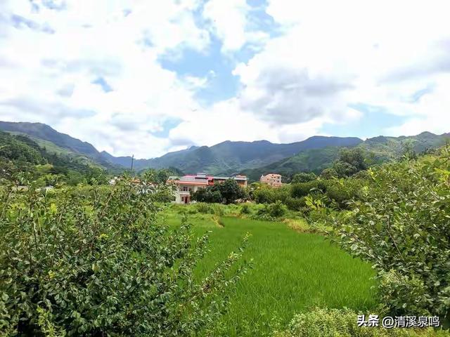 湖洋田里寻童趣