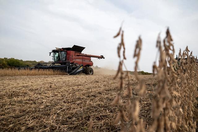 中美五轮贸易谈判达成共识，中国接连进口美大豆小麦显诚意，特朗普提 “无核化” 设鸿门宴藏霸权心思