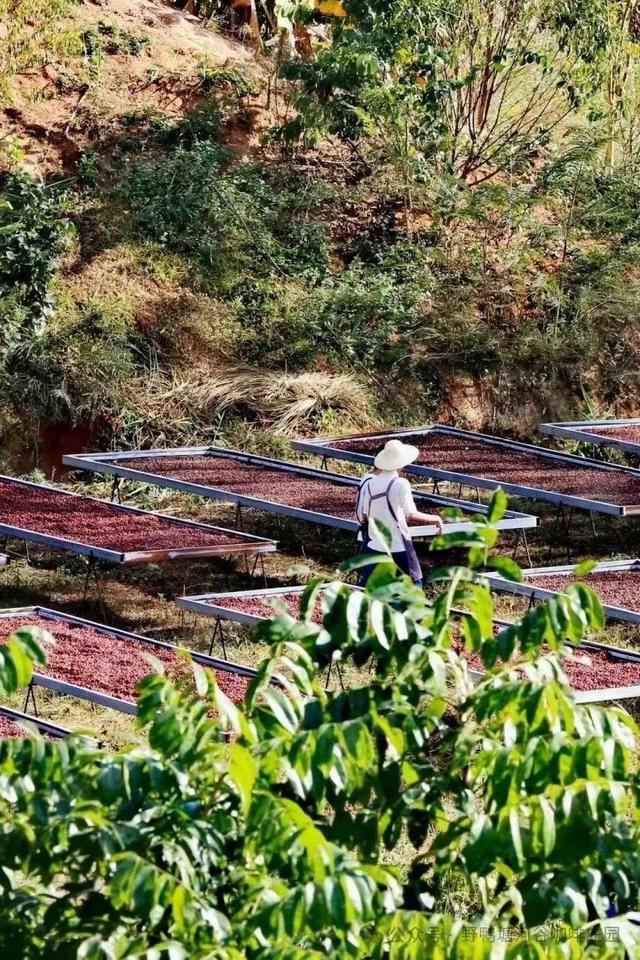 《中国旅游报》刊文 点赞普洱位列增长最快的避暑游城市前十
