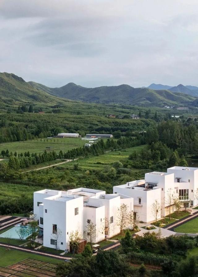 莫干山的文旅新实践，山野里长出了新日常