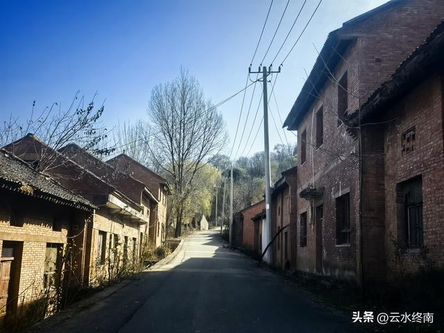 开车到蓝田这个岭上看柿子、观山景、晒暖暖，就是初冬最幸福的事