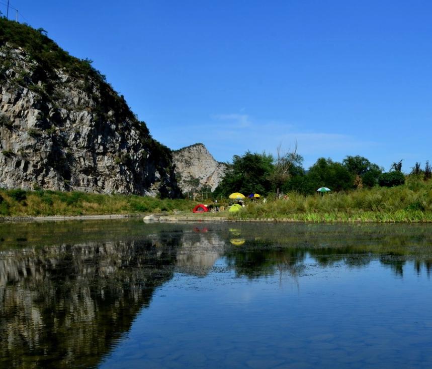 国家保护动物!是仙女化身,被称为“净水鸟”,26年首现北京
