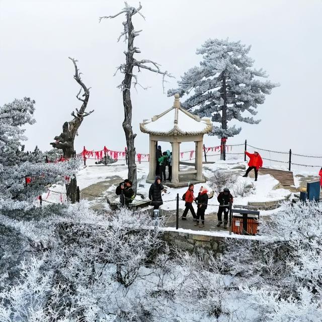 雪遇华山・福利就位｜这份优惠指南别错过