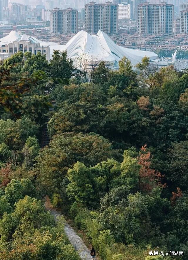 会玩的长沙人,都在这些地方过秋天