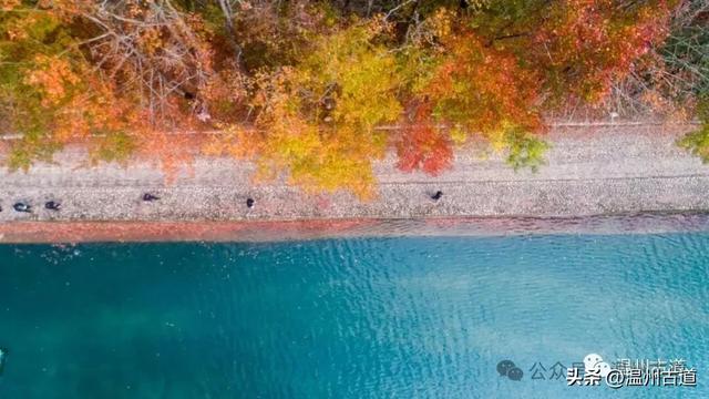 收好这份温州《红枫古道地图》，挑个好天气出门走走！