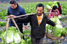 农村人到底得罪了谁？为啥总是被针对，总是被抹黑？图片
