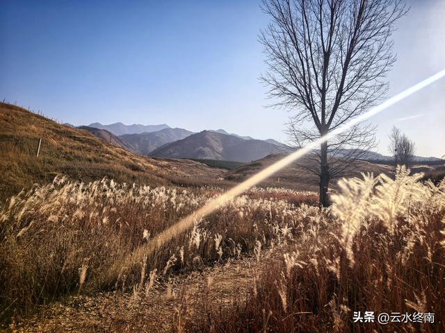 游览了这片芦花后，我又到蓝田这个没有拆掉的村子，见到这些老人