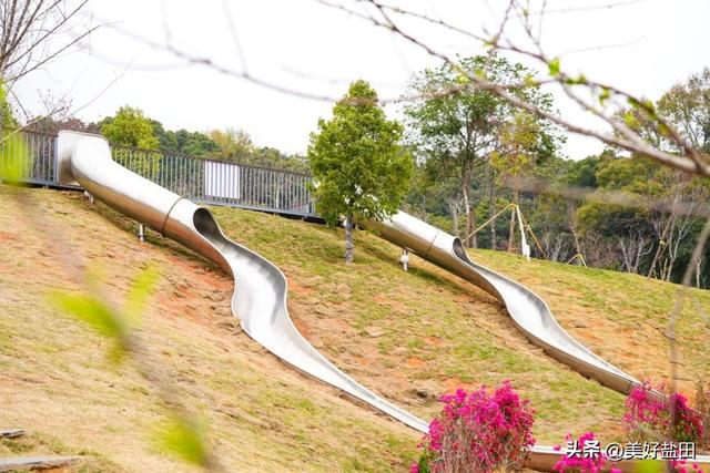 深圳新手必刷！5公里山海徒步，地铁直达→