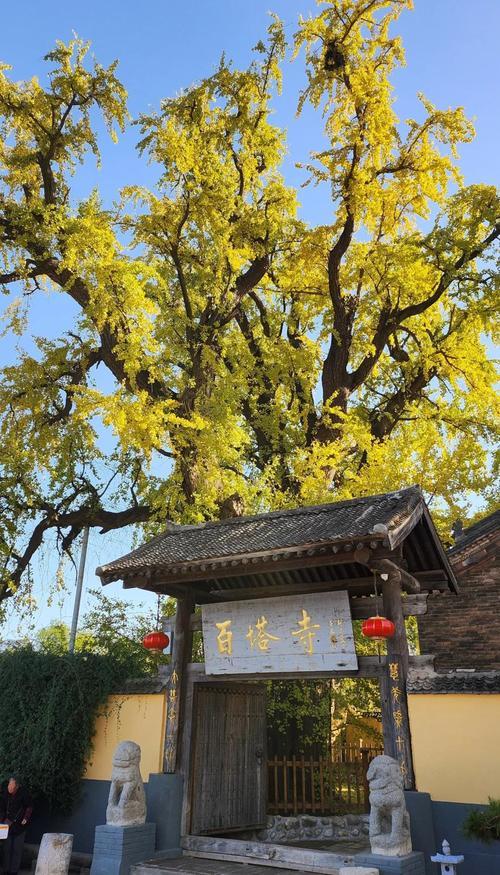 藏在秦岭天子峪里的低调古刹，1700年银杏为伴无商业化知道在哪吗