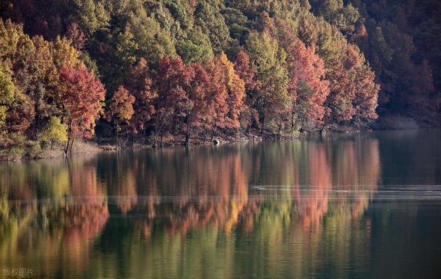 10月下旬-11月上旬，7个赏秋好地方，秋景鲜艳，尽享绚烂秋色
