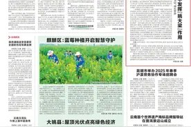 奋力在全省发展大局中发挥“挑大梁”作用——访红河州委副书记、州长罗萍图片