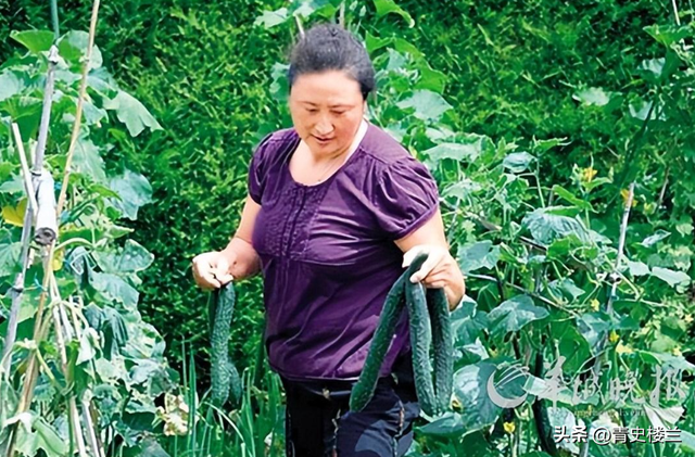 郎平做梦也没想到，曾获五连冠女排队长杨锡兰，如今在瑞士当保安