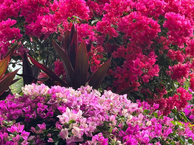 福田11月商圈狂欢指南，错过等一年！