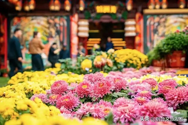 【乐享烟台】“宋韵雅集”周末2日游!一键收藏,做朋友圈最会玩的宋“潮”达人