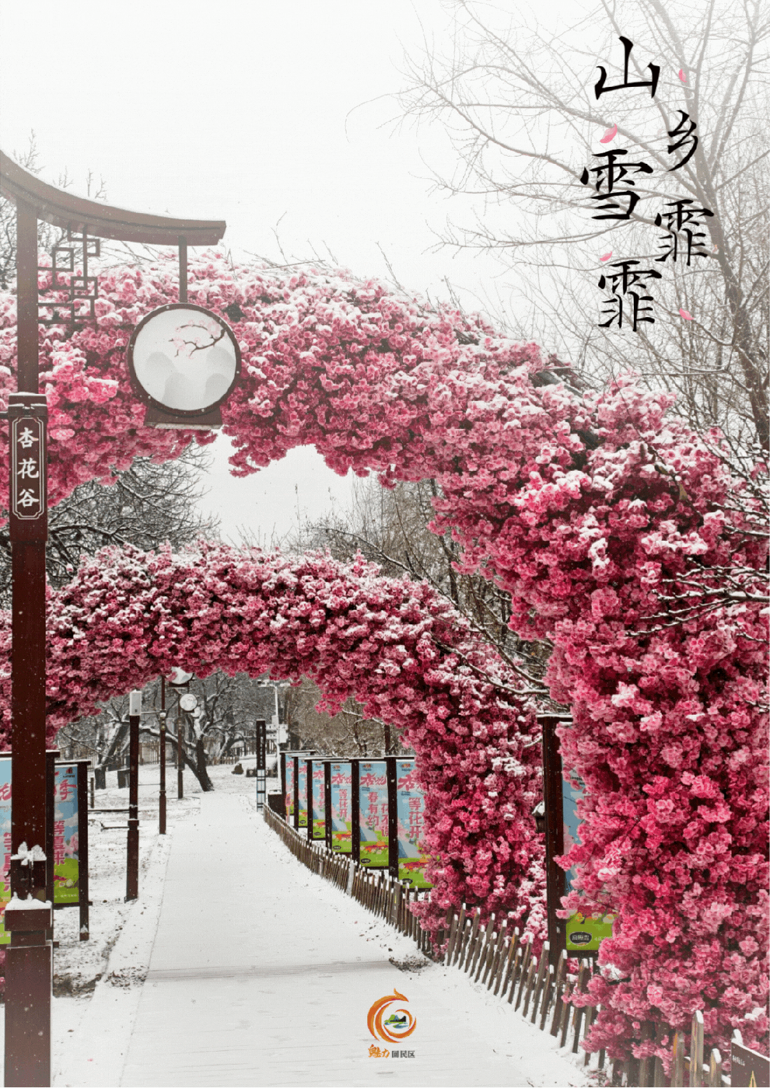 山乡雪霏霏 来回民区邂逅冬的诗