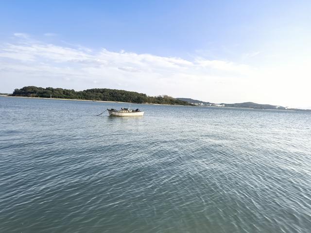 青岛的海