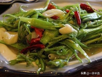 自驾营地：云南丽江市免费床车房车自驾露营地停车场主要景点美食