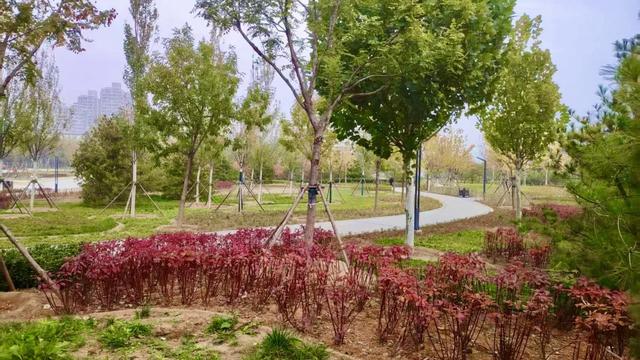 157亩绿地对外开放！丰台又添“治愈系”空间，就在——