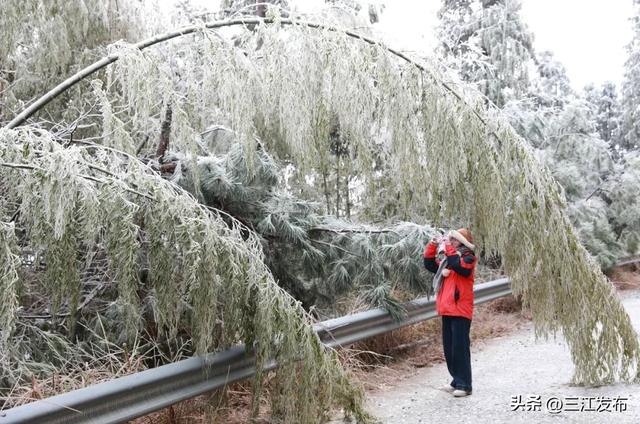绝美!三江大塘坳惊现“琉璃仙境”!