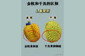 “金枕”和“干尧”的区别，分清不被坑图片