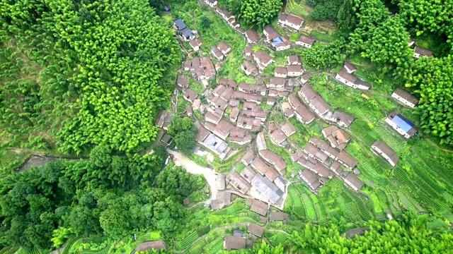 皖浙摩旅二人转——松阳横坑村篇（下）