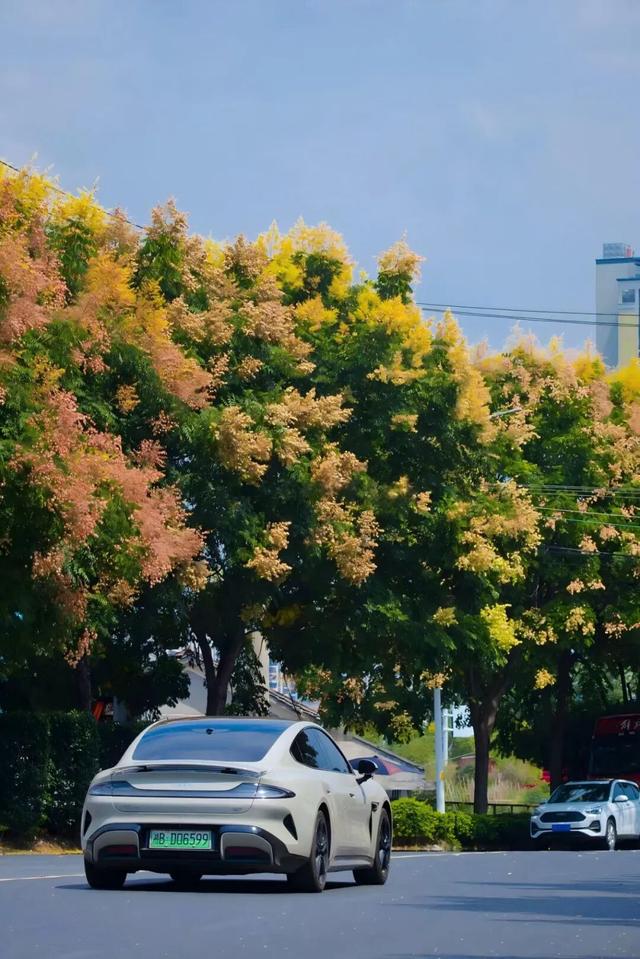 醴陵的秋天，是懂氛围感的