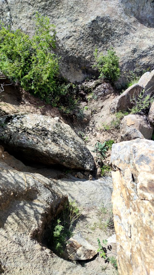 两登拉萨色拉寺后山，上升600米，山顶海拔4200米，经幡飘扬