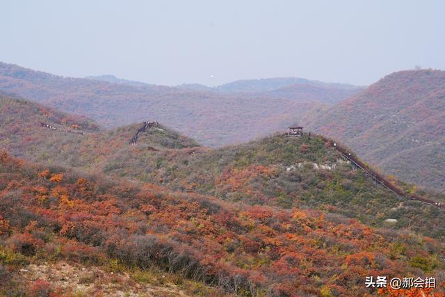 焦作窄门的深秋色彩！走五彩步道，赏太行红叶