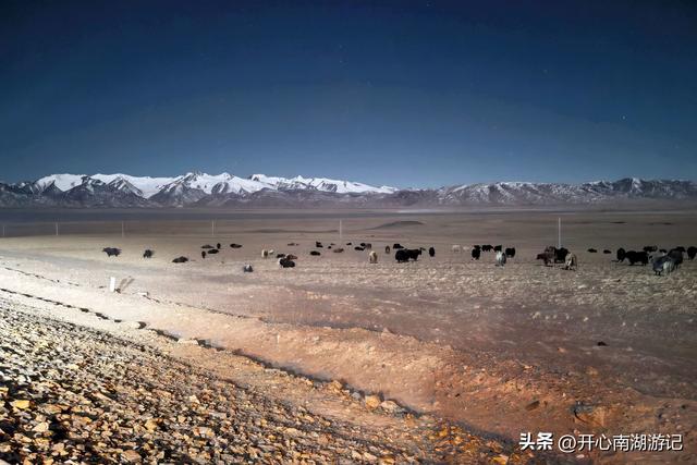 喀什经317到成都，民丰-改则，穿800里无人区，海拔从1500到5400