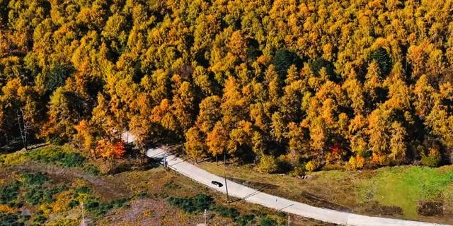 温泉免费泡！草科温泉特色小镇保姆级攻略，带你抢先玩转贡嘎南麓！