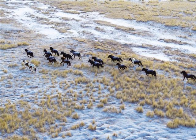 阿克塞：哈尔腾之冬