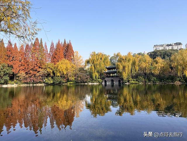 成都被私藏的彩林公园，流金溢彩，充满老城烟火气，地铁公交直达