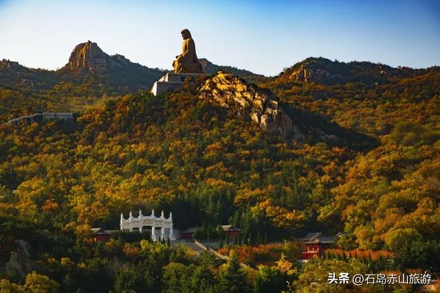 赤山观叶录:一片红叶见山海